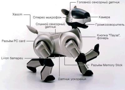 Обзор радиоуправляемой робот-собаки HappyCow Smart Dog
